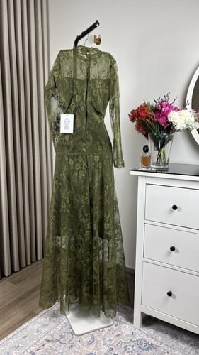 دانتيل الزيتي