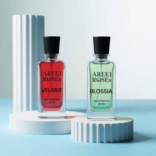 Blossia - Velaris | بلوسيا - فيلاريس