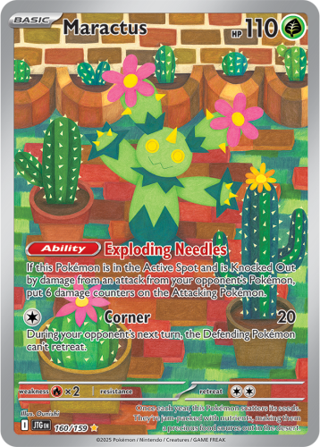 Maractus 160/159