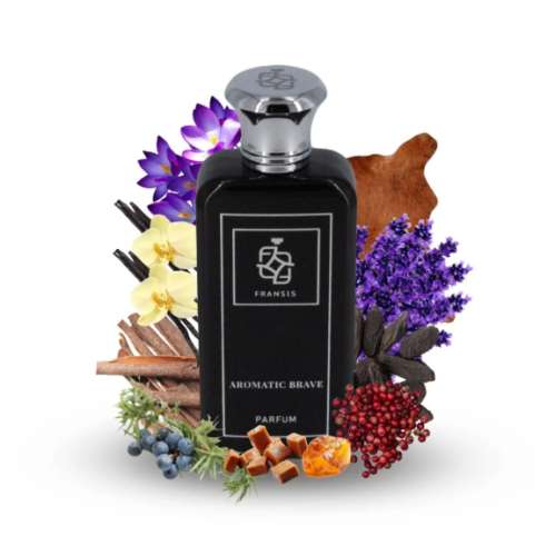 عطر فرانسيس اروماتيك برايف للرجال 100مل