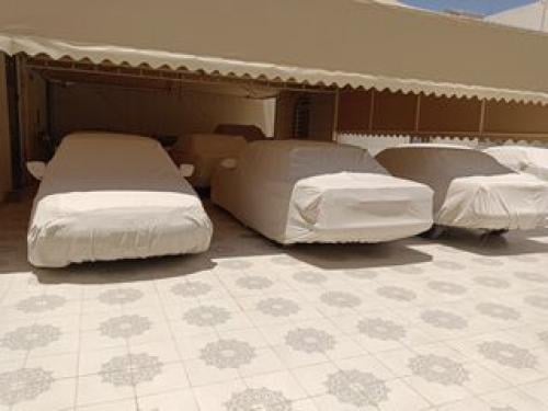 شراع سيارة قطن ابيض