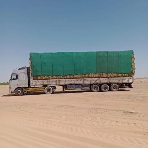 شراع شبك اخضر 14*8