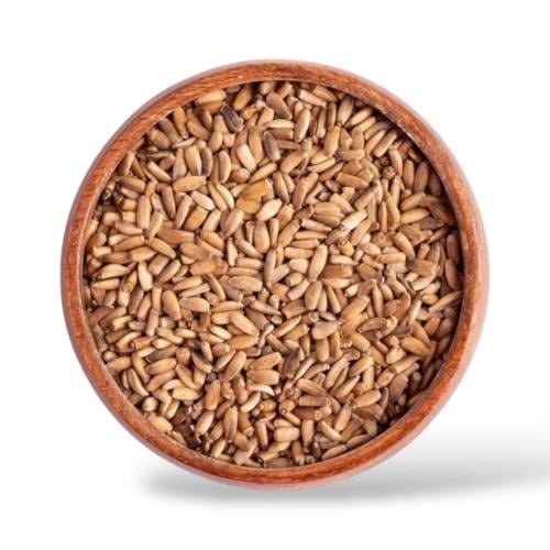 بذور حليب الشوك ( شوك الجمل)