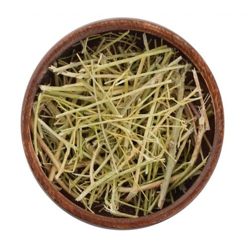 عشبة المدينة