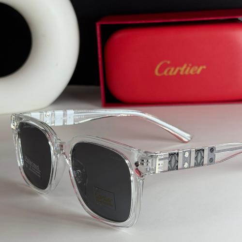 نظاره كارتير