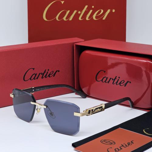 نظاره كارتير