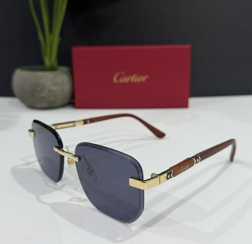 نظاره كارتير