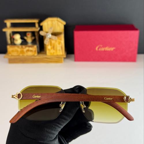 نظاره كارتير