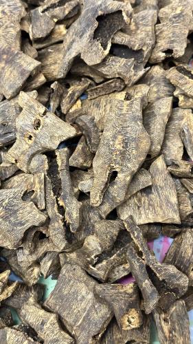 عود صيني كينام دبل وتربل