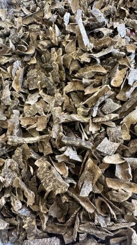 زوايا تراد بخوري