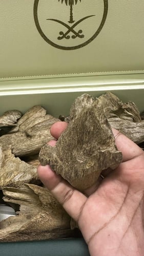 ارياني دبل سوبر