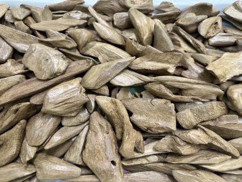 موروكي آصقون