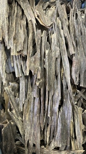 هندي تربل قديم