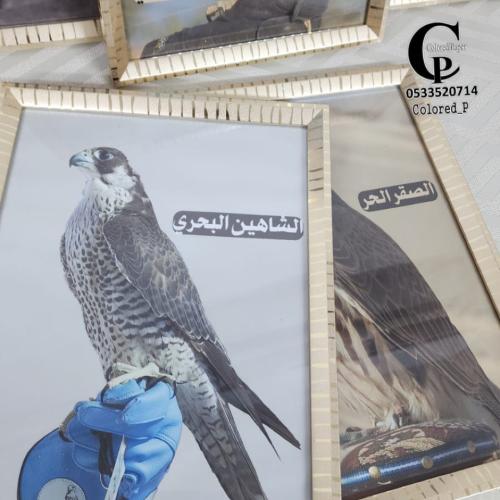 برواز خشبي / تصميم الباب