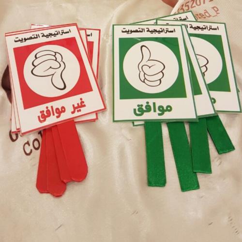 استراتيجية التصويت