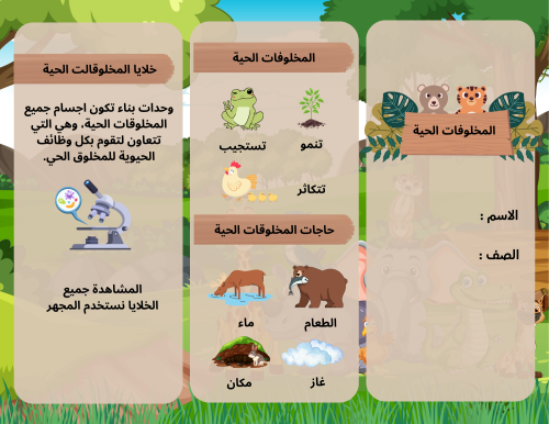 مطويات الصف الثالث الفصل الدراسي الاول