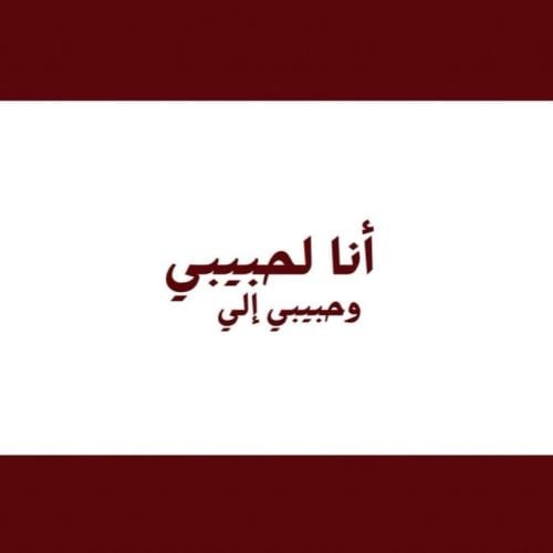 اللعبة الزوجية الرقمية (انا لحبيبي)