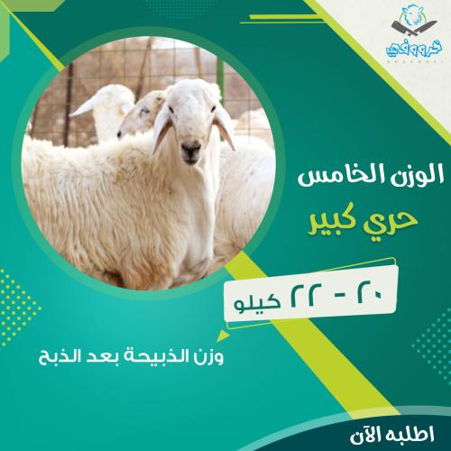 حري كبير