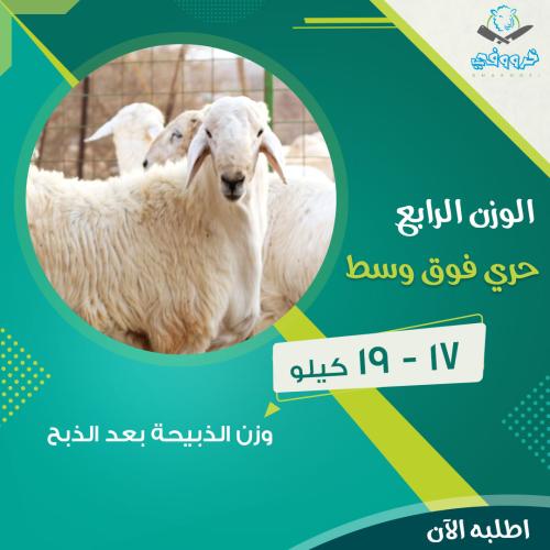 حري فوق الوسط