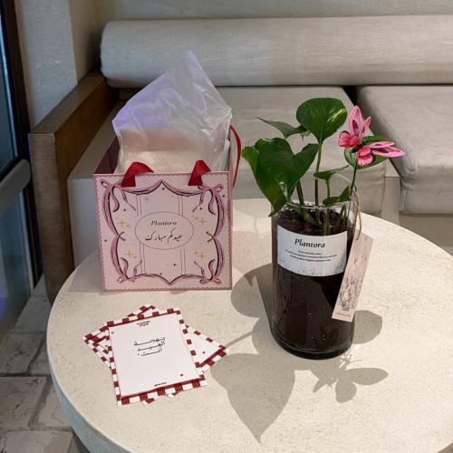 نبتة بوتس بكج العيد