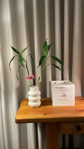 ساق البامبو