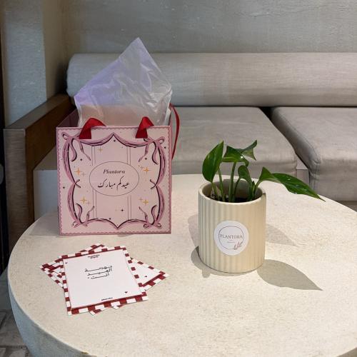 بوتس صغير بكج العيد