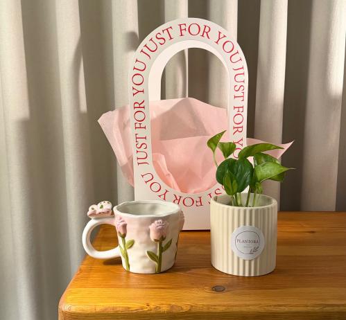 نبتة بوتس صغير مع كوب