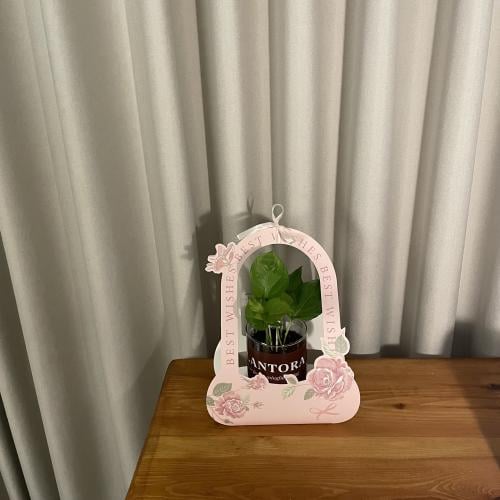 بوتس وسط - هولدر وردي
