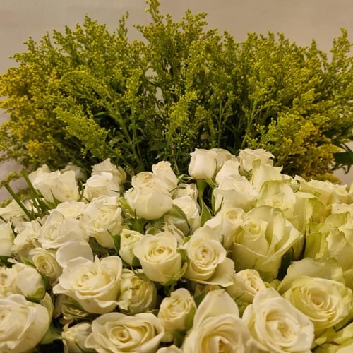 مزهرية النور الابيض