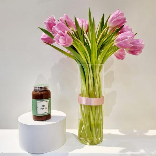 فازة توليب اند باتشي