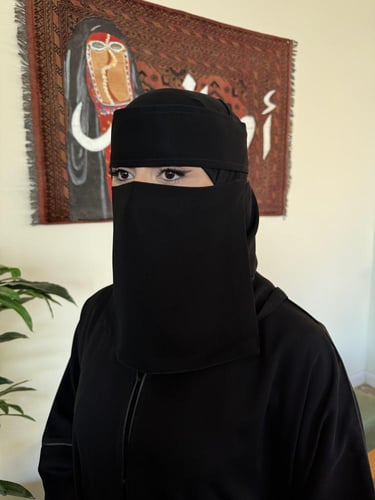 عدد 6 نقابات ملكية مبطنة حرير وسط مايل ( ربطة )