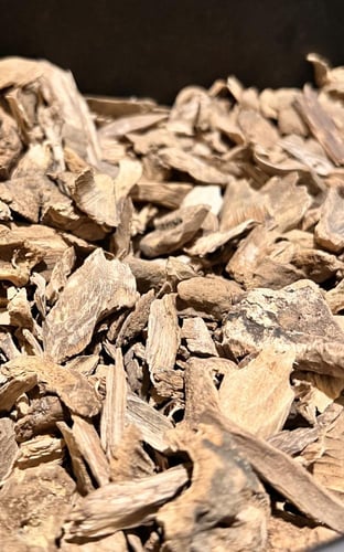 عود سيلاني سوبر ميني ودقة غابات آدم