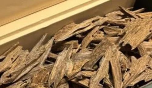 العود الفيتنامي الخاص