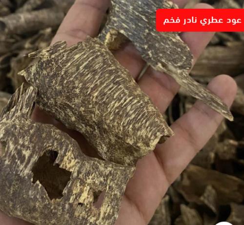 عود تراد سوبر مرتفع ودبل سبيشل فاخر