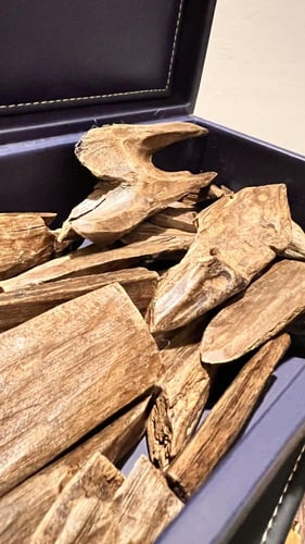 عود سيوفي فيتنامي طبيعي محسن كسر كبيرة