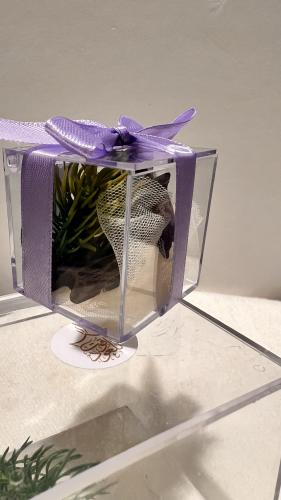 توزيعات التايقر