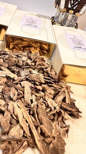 عود سيلاني سوبر ميني ودقة غابات آدم