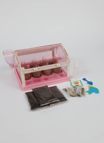 بيت زراعة النباتات للاطفال