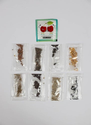 بيت زراعة النباتات للاطفال