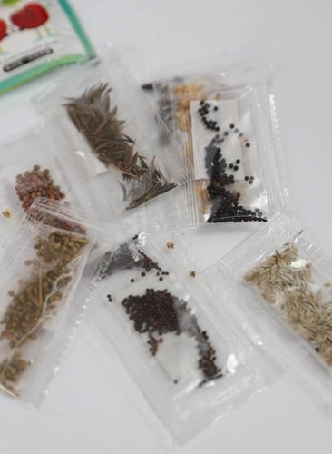 بيت زراعة النباتات للاطفال