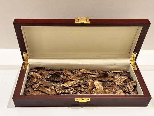 بورمي نوادر اندر وتر