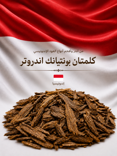 دقه كلمنتان بونتيانك اندروتر ( نوادر )