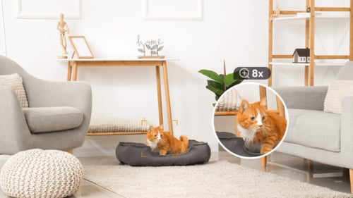 كاميرا واي فاي ريكس Rex 2D IMOU من ايمو