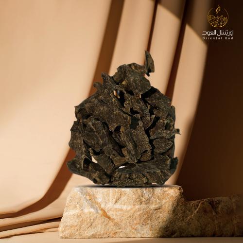 غابة هاتين