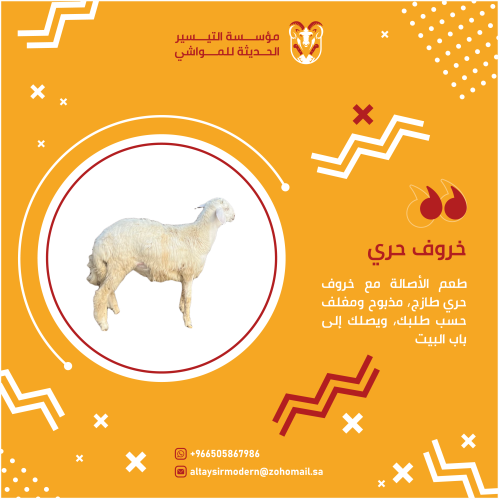 طلي حري جبر للبيع حجم وسط