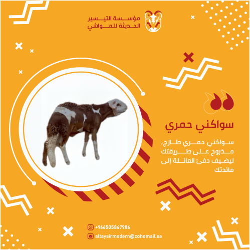 سواكني حمري كبير مرابي