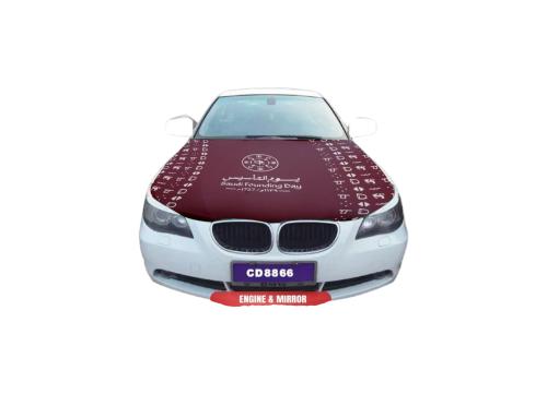 علم يوم التأسيس
