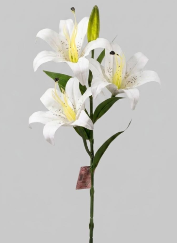 Lilyum branch