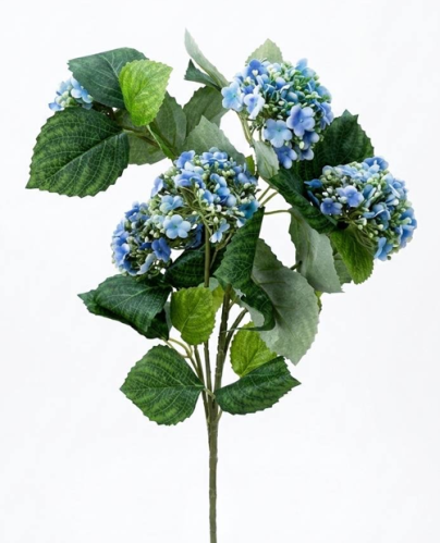 Jasmine flower branches curled