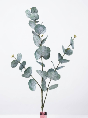 Klabtus branches 3D